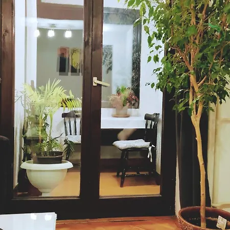 Apartment View - Center, Self Check In, Free Parking