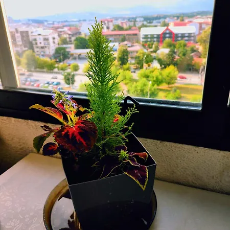 Apartment View - Center, Self Check In, Free Parking *